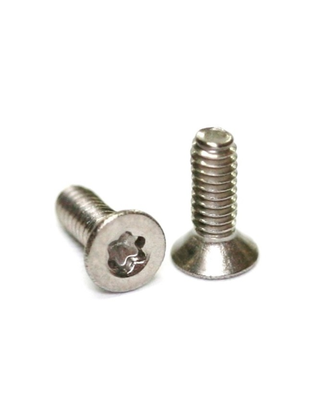 Tornillos M2x10 conicos philips (x20)