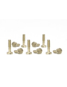 Tornillos metricos 2.2x5.3mm