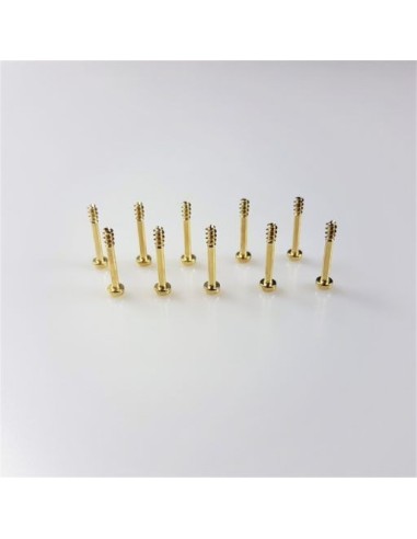 SRC RM1017 - Tornillo Supremex SRC2 x 10