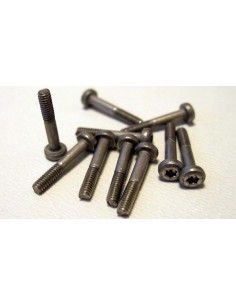 TH-SCR002TX - Tornillos Torx Inox T6 12 x 1.8 mm - Thunderslot