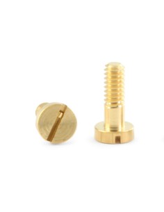 Tornillos métricos de carroceríaTornillos métricos para suspensión M2.2 x 9.5 (10pcs) 