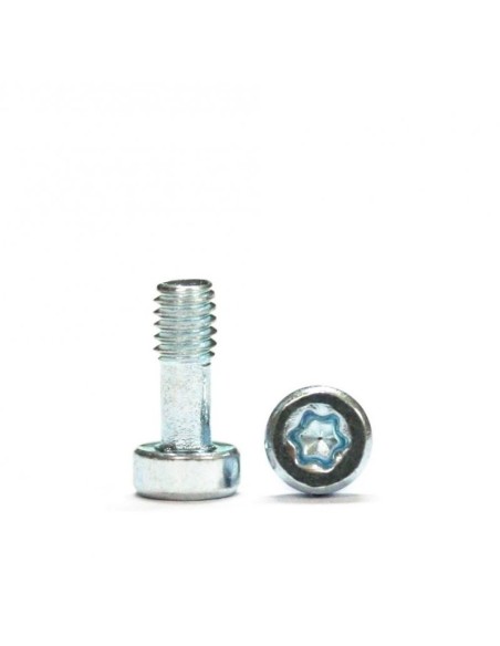 SP159912 - Tornillos M21 x 7,5 T6 torx Carrocería + destornillador x20