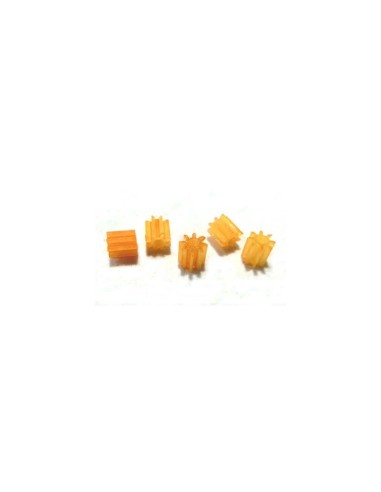 Piñon nylon 8z