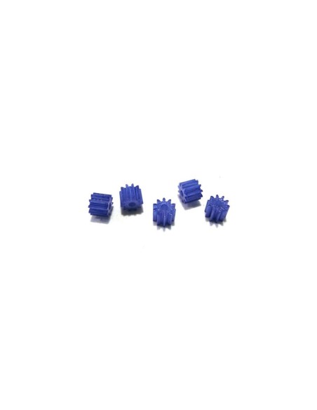 5 x Piñon nylon 10z