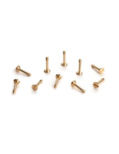 Tornillos metrico M2x11mm laton cabeza grande 10x