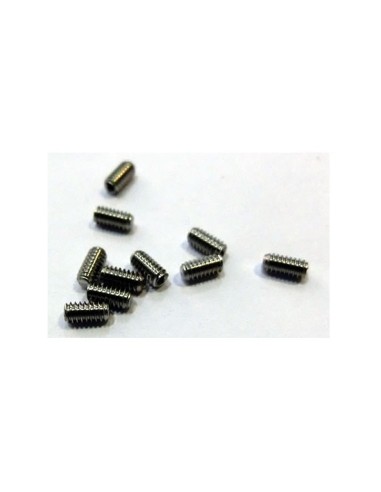 10 X Esparrago M2x4