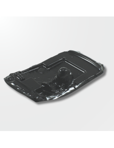 interior-lexan-swfme-ford-mustang-sideways.jpg