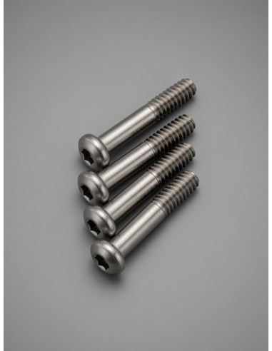 Tornillos Semiroscados M2x10mm Titanio (4 unidades) | Mejora tu Suspensión
