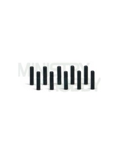 Tornillos M2 x 8mm (x10)