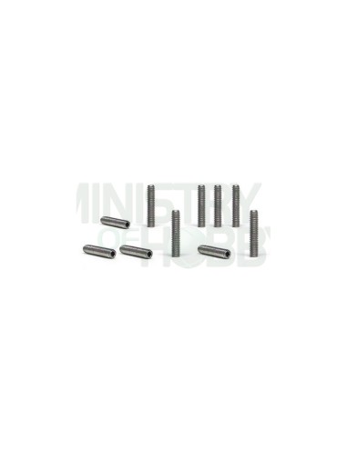 Tornillos M2X10mm (x10)