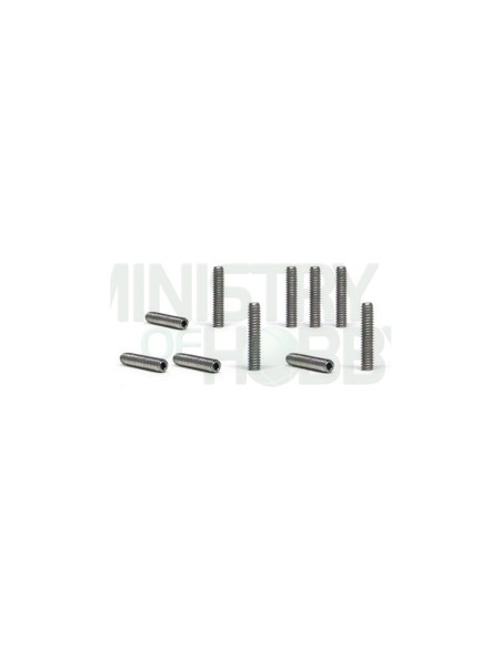 Tornillos M2X10mm (x10)