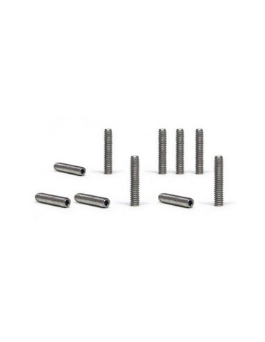 Tornillos M2X10mm (x10)
