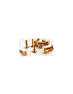 Set de tornillos metricos largos (10pcs)  M2.2 x 8 