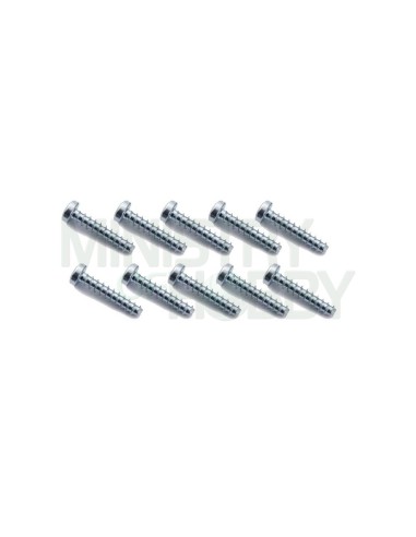 Set tornillos 2.2x9.5mm