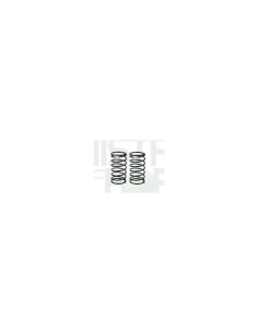 Muelles amortiguador M1.1X31 (8), 2 unidades