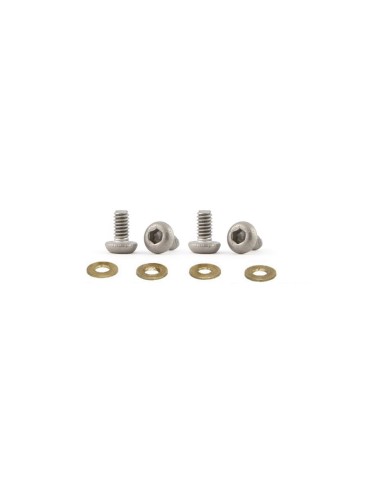 TORNILLOS MOTOR M2X4 TITANIO (4PCS)