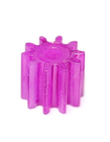 Piñon nylon z10